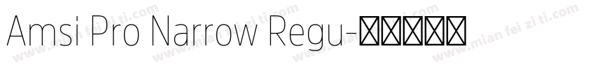Amsi Pro Narrow Regu字体转换